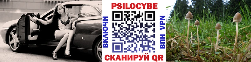 Псилоцибиновые грибы мицелий  как найти   Североуральск 