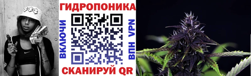 как найти закладки Североуральск Канабис MAZAR